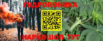 ПСИЛОЦИБИНОВЫЕ ГРИБЫ Краснодар