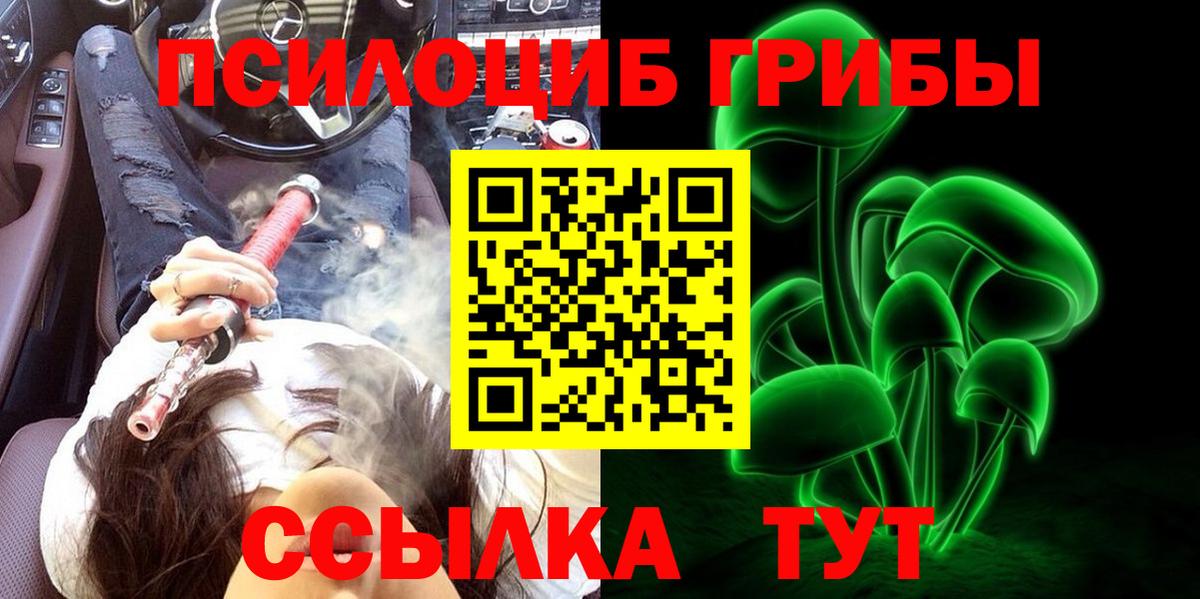 Фурманов  Псилоцибиновые грибы мухоморы  Вход с VPN 